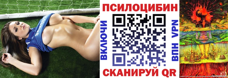 Псилоцибиновые грибы Psilocybe  ссылка на мегу   Кандалакша 